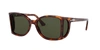 Persol Po0005 In Green