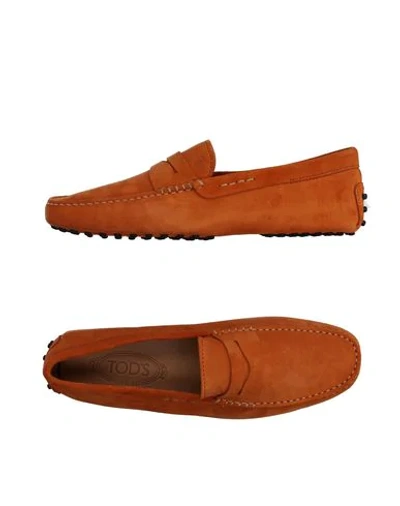 Tod's Loafers In Orange