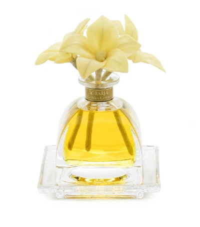 Agraria Golden Cassis Airessence Diffuser