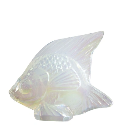 Lalique Fish Sculpture In White