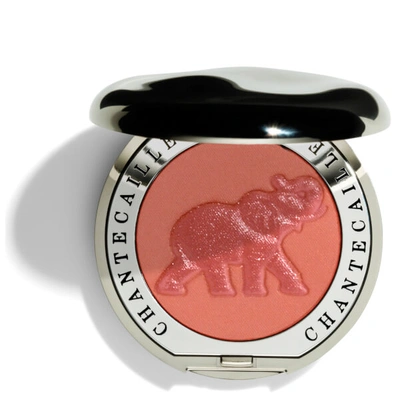 Chantecaille Philanthropy Cheek Shade Blush In Smitten With Elephant