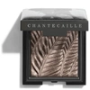 Chantecaille Luminescent Eye Shade Eyeshadow In Elephant