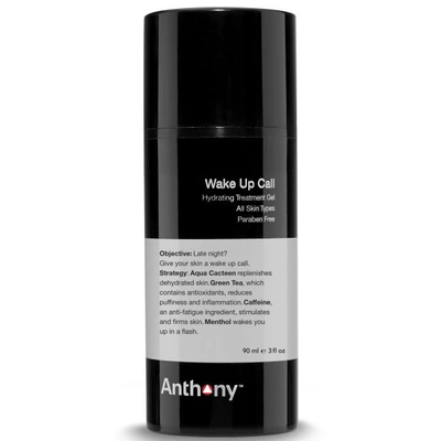 Anthony Wake Up Call Hydrating Treatment Gel, 3-oz. In Purple