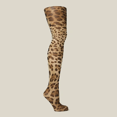 Pre-owned Dolce & Gabbana Animal Leopard-print Mesh Tights S In Brown