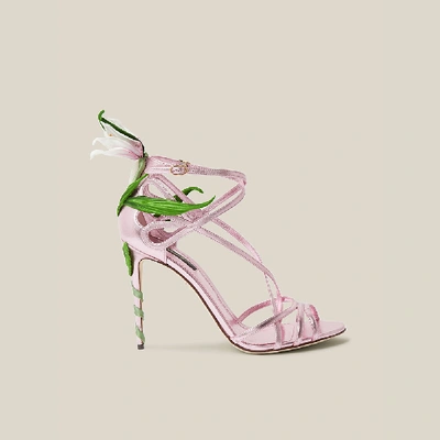 Pre-owned Dolce & Gabbana Pink Lily-appliquéd Metallic High Heel Leather Sandals Size It 36