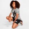 Nike Boys' Little Kids' Sportswear Futura T-shirt And Shorts Set In Grey/black