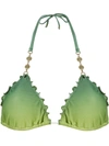 Amir Slama Triangle Bikini Top In Green