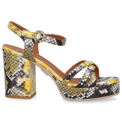 Roberto Festa Sandals Briet In Yellow