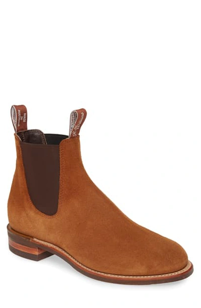 R.m.williams Comfort Turnout Chelsea Boot In Cognac Suede