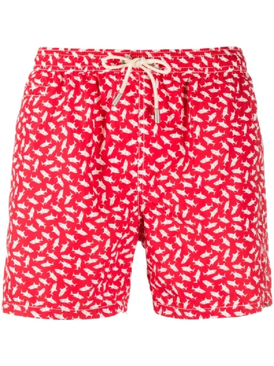 Mc2 Saint Barth Shark Print Swim Shorts In Red