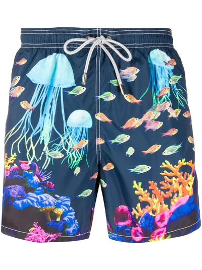 Mc2 Saint Barth Badeshorts Mit Quallen-print In Blue