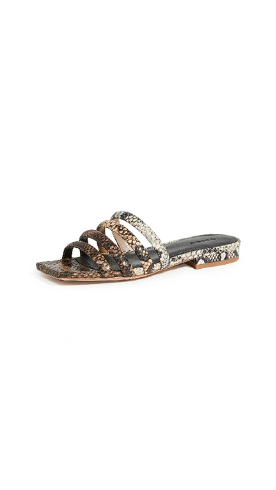 Vince Zahara Flat Snakeskin-embossed Leather Sandals In Brown