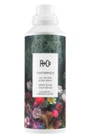 R + Co R+co Centerpiece All-in-one Elixir
