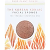 THE KONJAC SPONGE COMPANY THE ELEMENTS FIRE FACIAL SPONGE - PURIFYING VOLCANIC SCORIA 30G,EL26