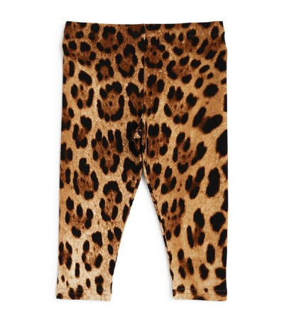 Dolce & Gabbana Kids Leopard Leggings (3-30 Months) In Multi