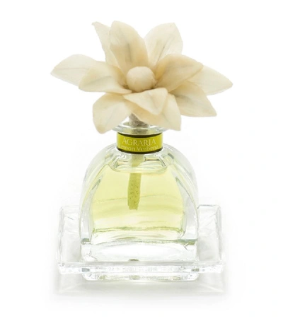 Agraria Lemon Verbena Petiteessence Diffuser (50ml)