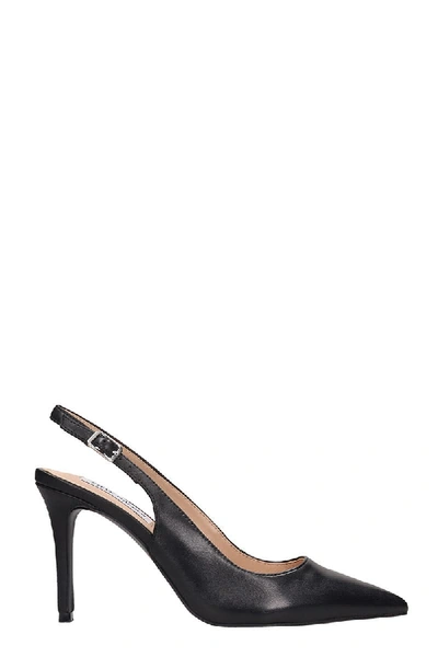 Steve Madden Macey Pumps In Black Leather