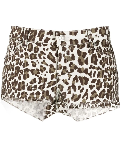 P.a.r.o.s.h Animal Print Shorts In Brown