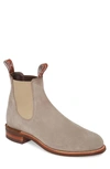 R.m.williams Comfort Turnout Chelsea Boot In Putty Suede