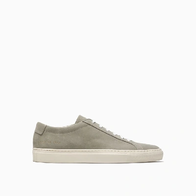 Common Projects Original Achilles Low Suede Sneakers 2251 In 7543