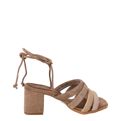 Alohas Letizia Suede Sandals