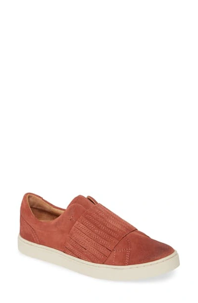 Frye Ivy Gore Slip-on Sneaker In Rosewood Suede