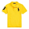 Polo Ralph Lauren Big Pony Cotton Mesh Polo In Slicker Yellow