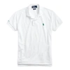 RALPH LAUREN THE EARTH POLO,0043118611