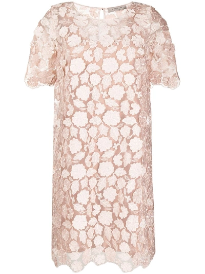 D-exterior Lace Shift Dress In Pink