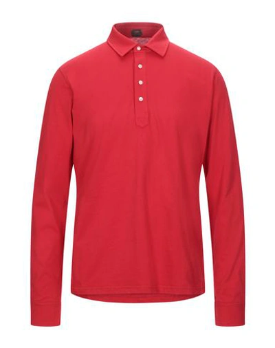 Mp Massimo Piombo Polo Shirts In Red