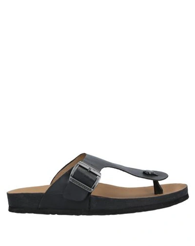 Docksteps Toe Strap Sandals In Black