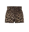 Dolce & Gabbana High Waist Leopard Stretch Drill Shorts In Multicoloured
