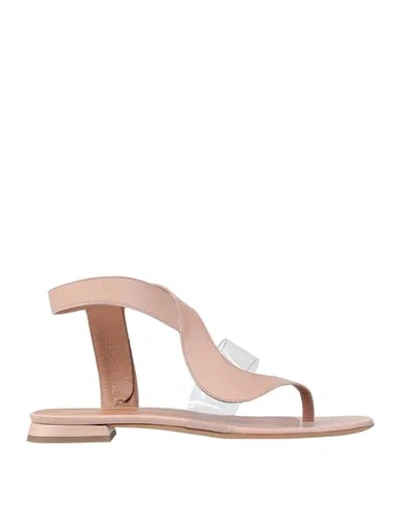 Emporio Armani Toe Strap Sandals In Pink