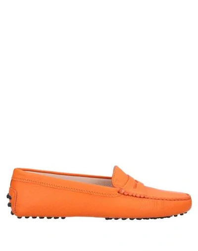 Tod's Loafers In Orange