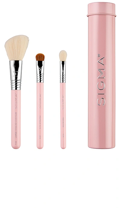 SIGMA BEAUTY ESSENTIAL TRIO BRUSH SET,SGBY-WU33