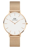 DANIEL WELLINGTON PETITE ASHFIELD MESH STRAP WATCH, 36MM,DW00100305