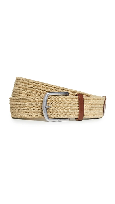 Polo Ralph Lauren Braided Logo-embossed Cotton-stretch Belt In Timber Brown