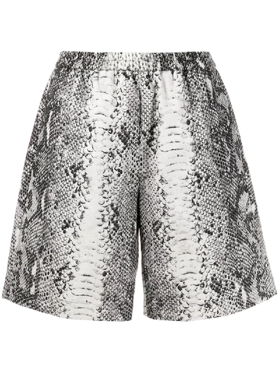 N°21 Snakeskin Print Shorts In Grigio