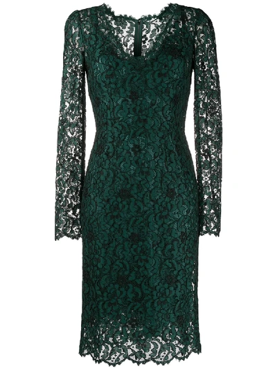 Dolce & Gabbana Schmales Spitzenkleid In Green
