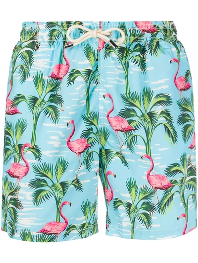 Mc2 Saint Barth Flamingo Print Swim Shorts In Blue