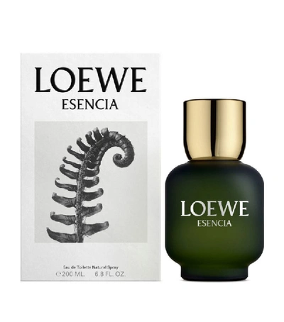 Loewe Esencia Eau De Toilette (200 Ml) In White