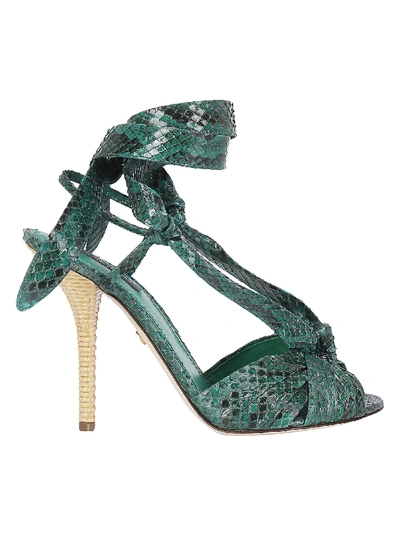 Dolce & Gabbana Sandals In Python With Heel In Wicker In Green