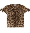 Dolce & Gabbana Leopard Print Cotton Jersey T-shirt In Brown