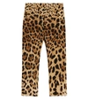 Dolce & Gabbana Leopard Print Cotton Interlock Leggings In Brown