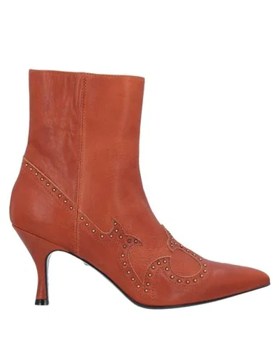 Just Cavalli Ankle Boots In Tan