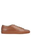 Common Projects Sneakers In Brown