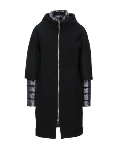 Herno Woman Coat Black Size 6 Wool, Polyamide, Cotton, Acetate In Black