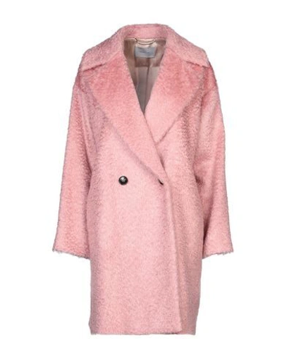 Marella Coat In Pink