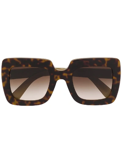 Dolce & Gabbana Dg4263 Sunglasses In Brown