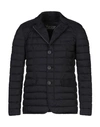 Herno Synthetic Padding In Black